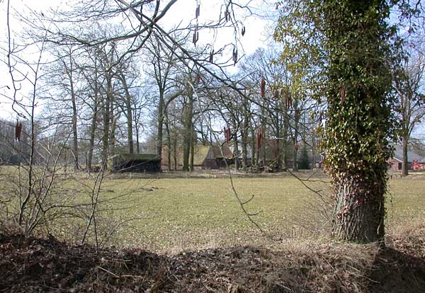 Oele tussen Vossenbrink en Hengelo