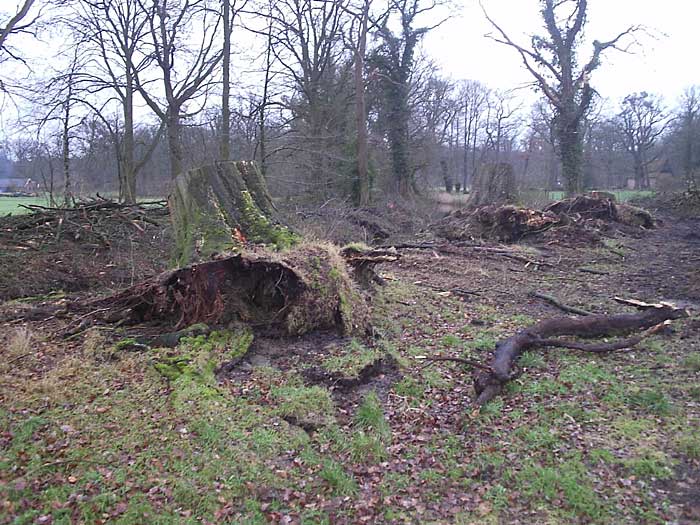 Stormschade in Twickel