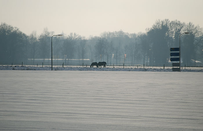 Almelosestraat Delden