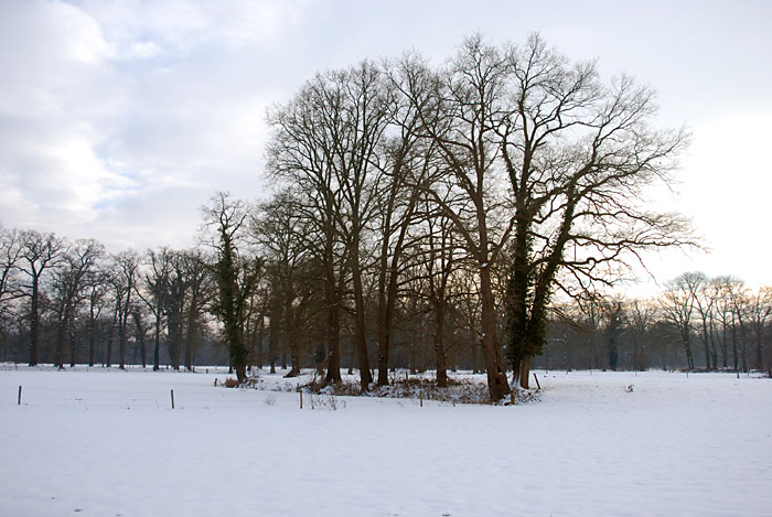 Hengelosestraat Delden