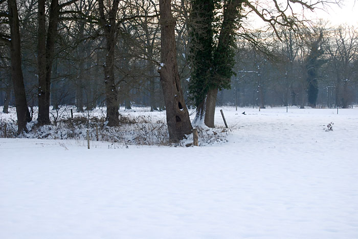 Hengelosestraat Delden