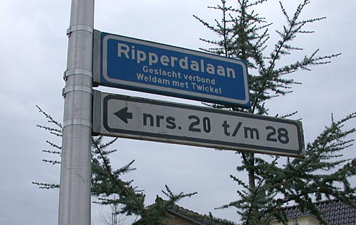 Ripperdalaan in Delden